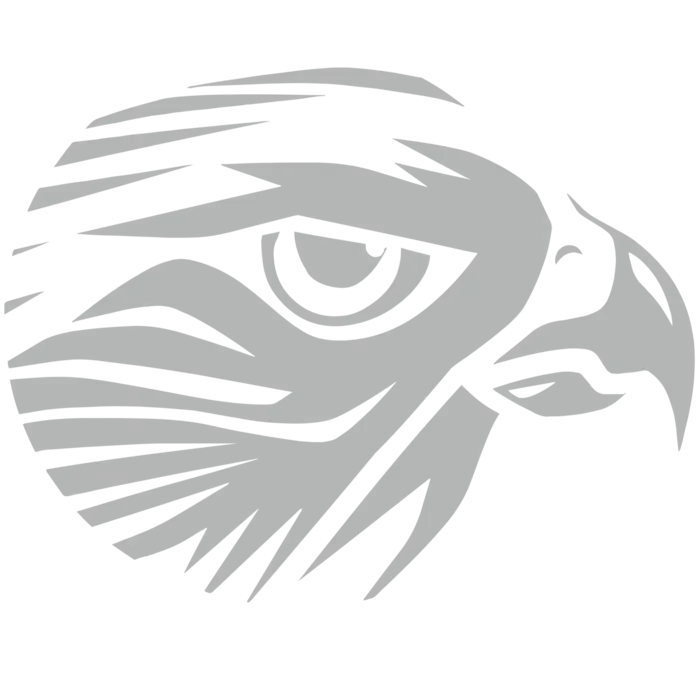 Falcon Logo